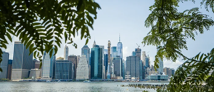 New York’s Draft Conditional Retail Regulations Raise Practical Concerns
