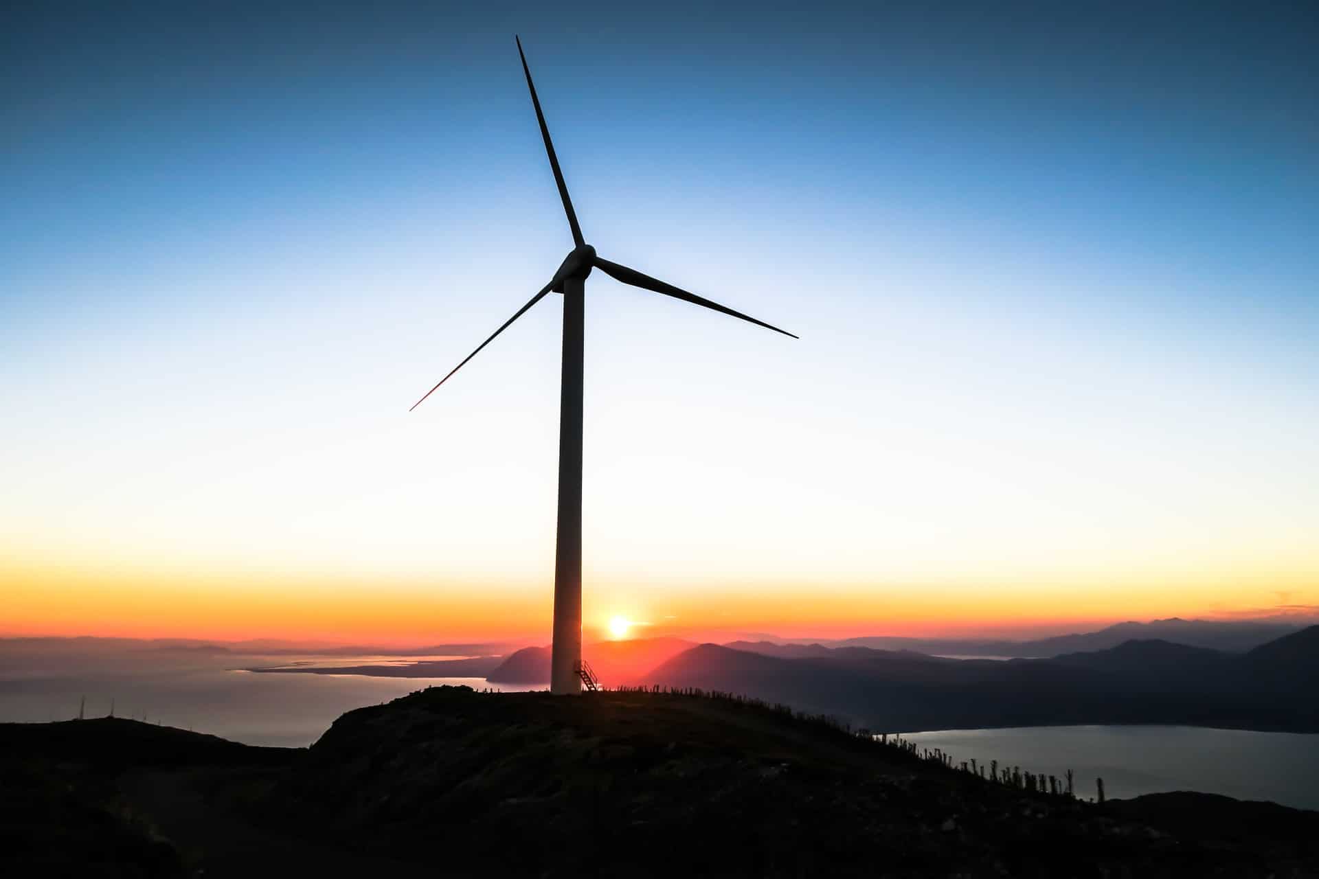 The Intersection of Cannabis and Clean Energy: What’s on the Horizon for these Emerging Industries?