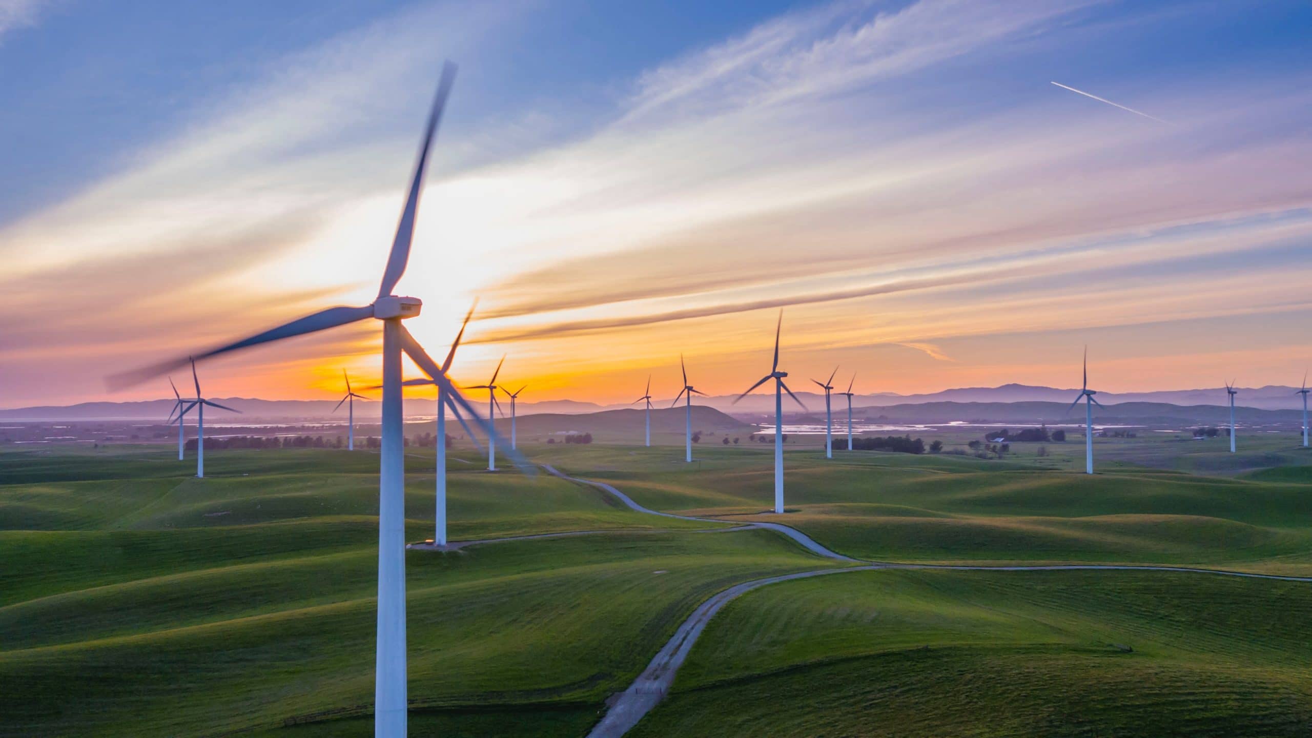 Cleantech and Cannabis: What’s New, What’s Next?